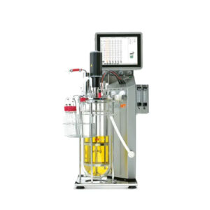Labfors 5