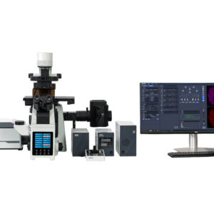 CLSM610 Confocal